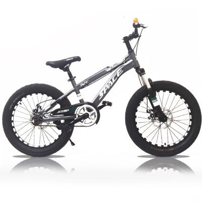 China Street high carbon steel children's bike/20 inch/fat tire/direct factory sales/OEM/hot-selling/off-road/mountain bike for sale