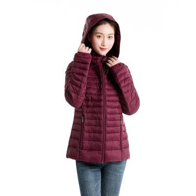 China Wholesale Cheap Long Sleeve New Style Women's Jackets Winter Quilted Autumn Casual Jackets For Ladies for sale