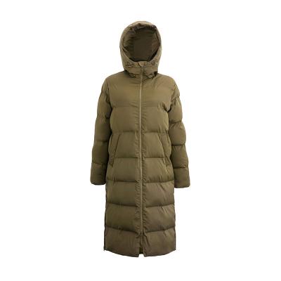 China 2021 Lady Clothing Female Jackets Waterproof Thick Winter Coat Women Snow Wear Winter Jacket Down Jacket for sale