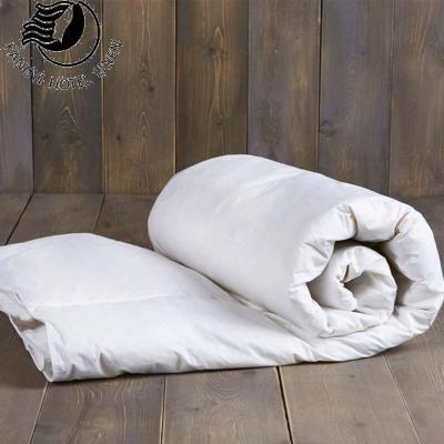 China 2022 new home style comforter core sell white comforter hotel imitate down cotton filling comforter quilt insert for sale