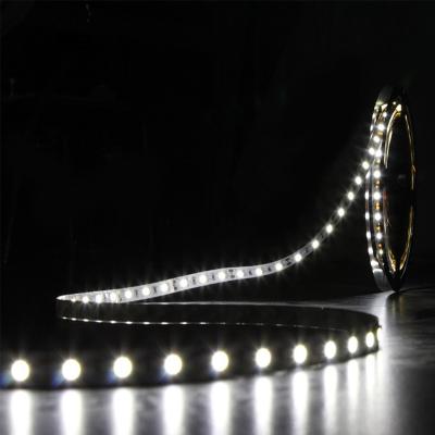 China LANDSCAPE RGB LED Strip Light 5050 RGB LED Strip Light DC12V 24V Waterproof Variable Low Voltage White LED Strip for sale