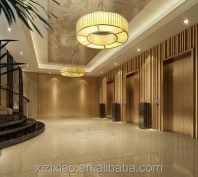 China Public Passenger Elevator 630KG Passenger Elevator For Apartment Hotels for sale