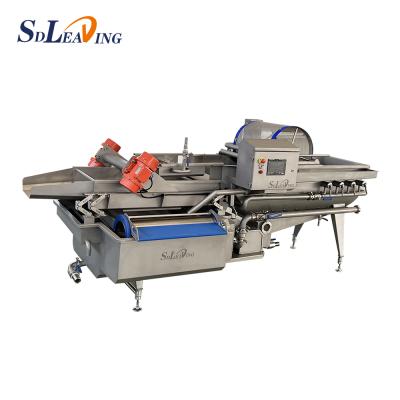 China Commercial fruit processing plant fruit and vegetable cleaning machine salad seal vege and fruit washing machine for sale