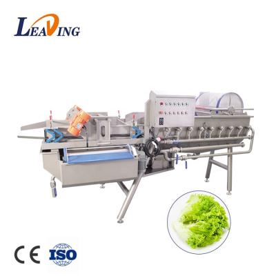 China Green Vegetable Industrial Seal Fruit Processing Plant Salad Washing Machine Fruit And Vegetable Washing Machine for sale