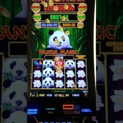 China Aristocratic Dragon Link Panda Magic Metal Slot Game Machine With Jackpot for sale