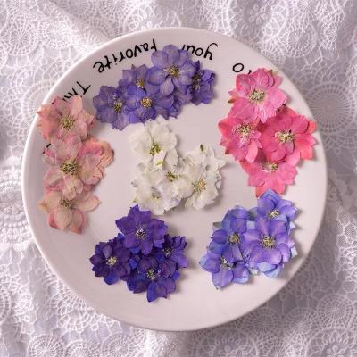 China Easy To Apply And Remove Real Lace Dried Flowers Natural Pressed Flowers For Epoxy Resin Nail Artwork for sale