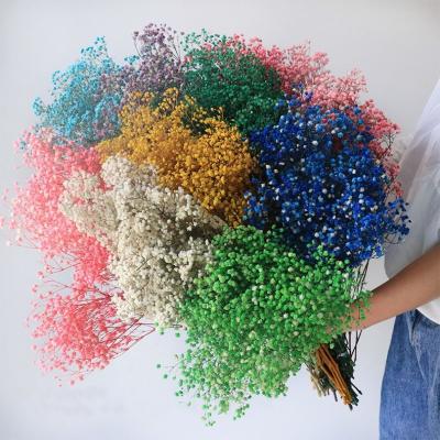 China Natural contact preserved flower babysbreath for household flower arrangement 1 packs of 100-120 grams for making handicraft products for sale