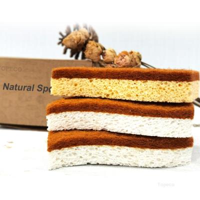 China Topeco Indonesia Cellulose Eco Sponge Coconut Fiber Sustainable Compostable Coconut Shell Kitchen Sponge for sale