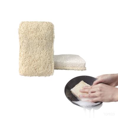 China Topeco Sustainable Loofah Organic Scrubber for Dishes Kitchen Reusable Sponge White Loofah and Cellulose Sponges for sale