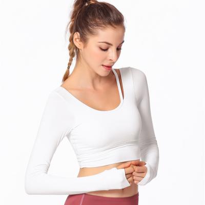 China Breathable Yoga Open Back Long Sleeve Halter White Crop Top Women for sale