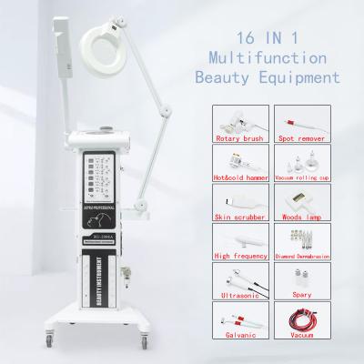 China Selling Best Wrinkle Remover 16 in 1 Skin Care Ultrasound RF Facial Cleansing Face Lifting Exfoliating Beauty Equipment for sale