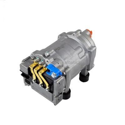 China Split Car Electric Parts 12V 24V Cooler DC Treatment Air Compressor For Parking Air Conditioner STANDARD for sale