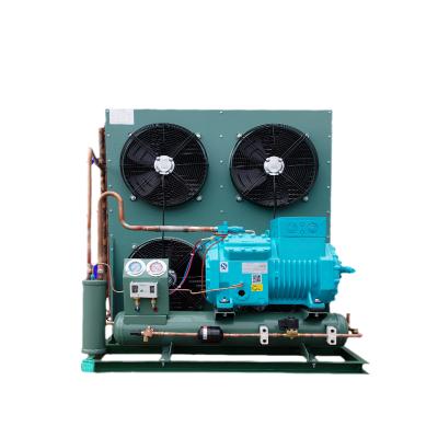 China Refrigeration Equipment Power Saving Refrigeration Unit Cold Room Refrigeration Unit Condensing Unit for sale