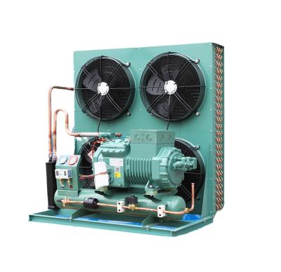 China Open Type Refrigeration Equipment Cold Storage Room Air Cooled Refrigeration Condenser Freezer Room Cooler Units Condensing Unit for sale