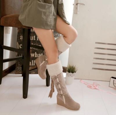 China 2021 Listing New Big Size Back Lace-up Tassel Anti-slippery High Boots Sheath Slope Heel Women Hairy Snow Boots for sale