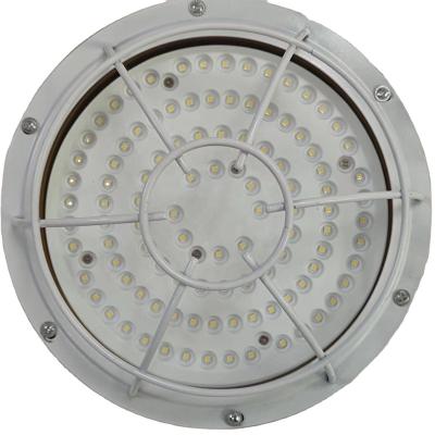 China High Grade IP66 80w Explosion Proof Explosion Proof Flood Light For Gas Station And Explosive Gas Environment for sale