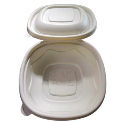 China Factory Direct Supplier Plastic Lunch Box Bento Box Plastic Sugarcane Bagasse Eco Friendly Tableware for sale