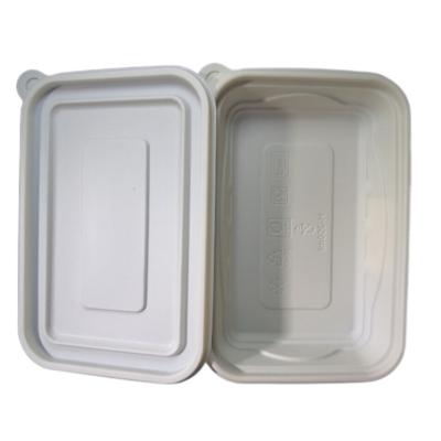 China Factory hot sales plastic lunch box disposable plastic bagasse tableware for kids for sale