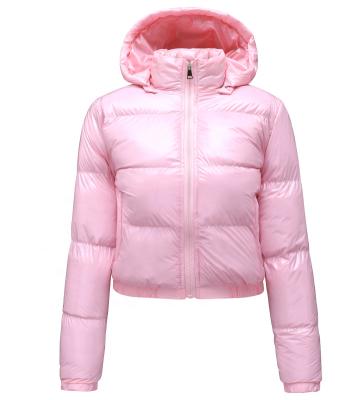 China 2022 Anti-Wrinkle Stripper Breathable Bubble Sleeve Zippers Long Down Jacket Winter Color Coat For Women Winter Coat Custom Made for sale