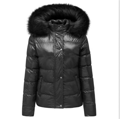 China Anti-wrinkle street wear lady women coats winter and autumn women coats 2021 bubble coat custom bubble jacket for sale