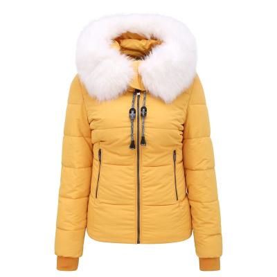 China Anti-wrinkle high quality women's wasp outdoor home be applicable women's turtle neck hoodie jackets for sale