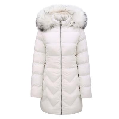 China Waterproof 2022 New Arrival Custom Fashion Long Down Jacket For Ladies Stripper Coats Winter Warm Long Custom Jacket For Women for sale