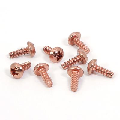 China Brass Pan Stainless Steel Customized m1 m2 m3 Solid Cross / Recessed Micro Pan Head Screws for sale