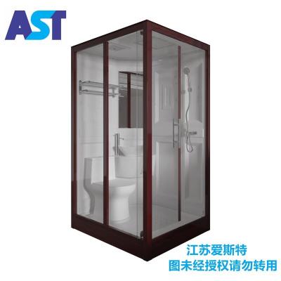 China Modern Shower Room Bathroom Good Quality 6mm Tempered Glass Portable Toilet for sale