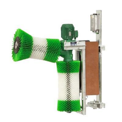 China High Quality Lower Price Farm Livestock Animal Husbandry Equipment Cow Cleaning Brush for sale