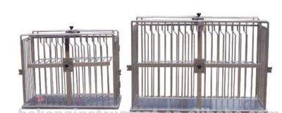 China Stainless veterinary restraint cage Dog injection cage for sale