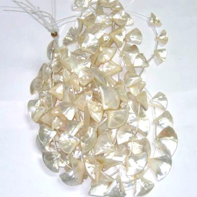 China Polished Pearlescent Gemstone Area Jewelry Raw Sea Shells Wipe for sale