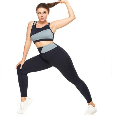 China Other wholesale hot sale plus size women sportswear activewear plus size sports bra yoga pants set for sale