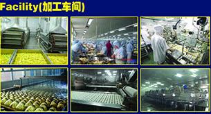 Verified China supplier - Mikado Food China (qingdao) Co., Ltd.