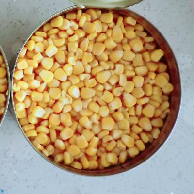 China New Canned Crop Canned Corn Vacuum Packed In Tins Corn In Box for sale