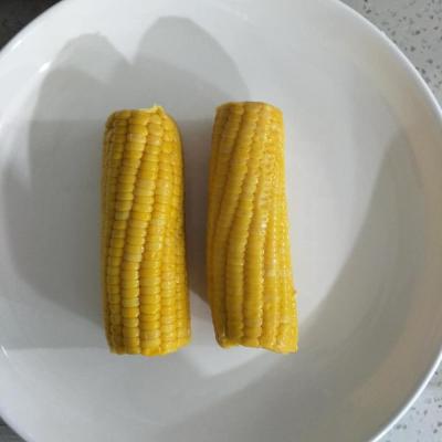 China New Cultivation Mikado Brand Canned Chinese Corn On The Cob In Vacuum Packing for sale