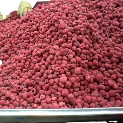 China Good quality IQF new crop frozen raspberry wholesale from China for sale