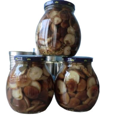 China Pickled letinus edodes chinese canned shiitake mushrooms with good quality of fresh packed for sale