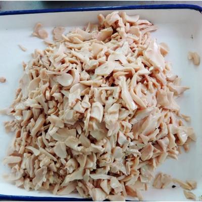 China Canned Chinese Mushroom King Oyster in Water Canned Mushroom in Brine for sale