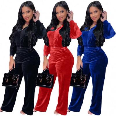 China Anti-wrinkle Women's Velvet Fabric 2 Two Piece Set Plain Hoodie Long Sleeve Sweatsuit Sets New Fashion Winter Tracksuits for sale