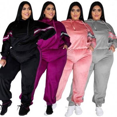 China Anti-wrinkle Women Long Sleeve Two Piece Set Women's Hoodies Plus Size Pants Winter Fashion Sports Tracksuits Clothing New for sale