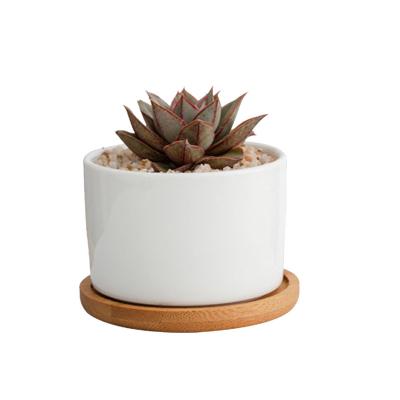 China Wholesale Nordic Modern Ceramic Flower Pot Decoration Garden Plant Mini Home Flower Pots for sale