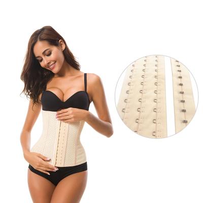 China Underwear Wholesale Hook&Eye Raws Single/Double Strip 3/4/5/6 Stitching For Waist Trainer Corset/Shaper Diet/Fashionwear for sale