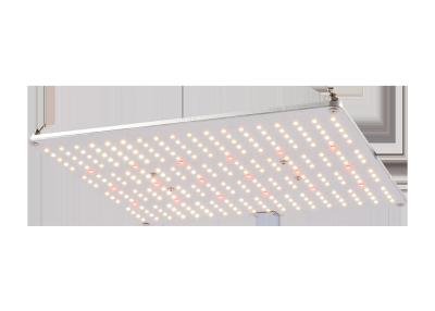 China UL AC277V Dimmable Led Grow Light For Indoor Grow for sale