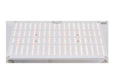 중국 이끌린 3500K AC85V 원예학은 빛을 성장시킵니다 판매용