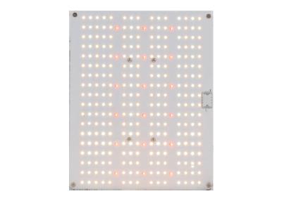 China DIY Light Kit IP67 640nm Quantum Grow Lights for sale