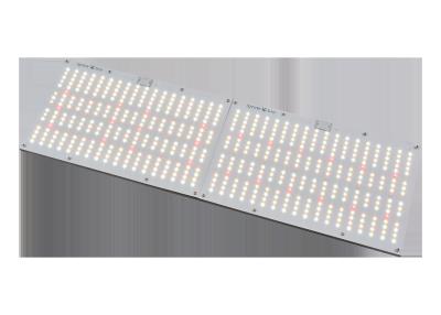 China Free Assembly 240W 4000lm Quantum Board Light for sale