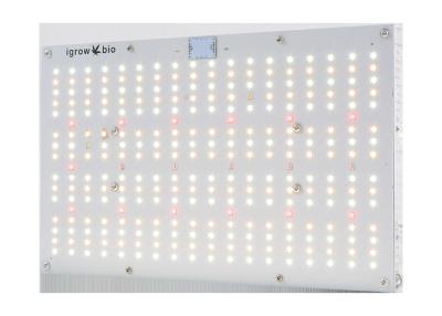 China Dimming 120W 660nm DIY Quantum Board Grow Light for sale