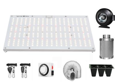 China Full Spectrum 288PCS Chips 120W Quantum Grow Lights for sale