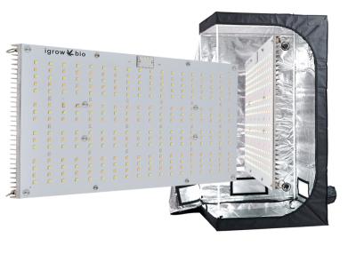 Chine Le panneau de l'UL 5000lm Diy Quantum se développent léger pour la culture à vendre