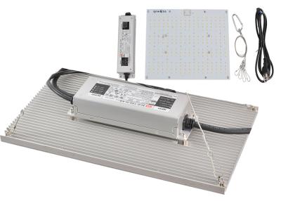 중국 이끌린 온실 수경법 365nm 2.8kgs 디머블은 빛을 성장시킵니다 판매용